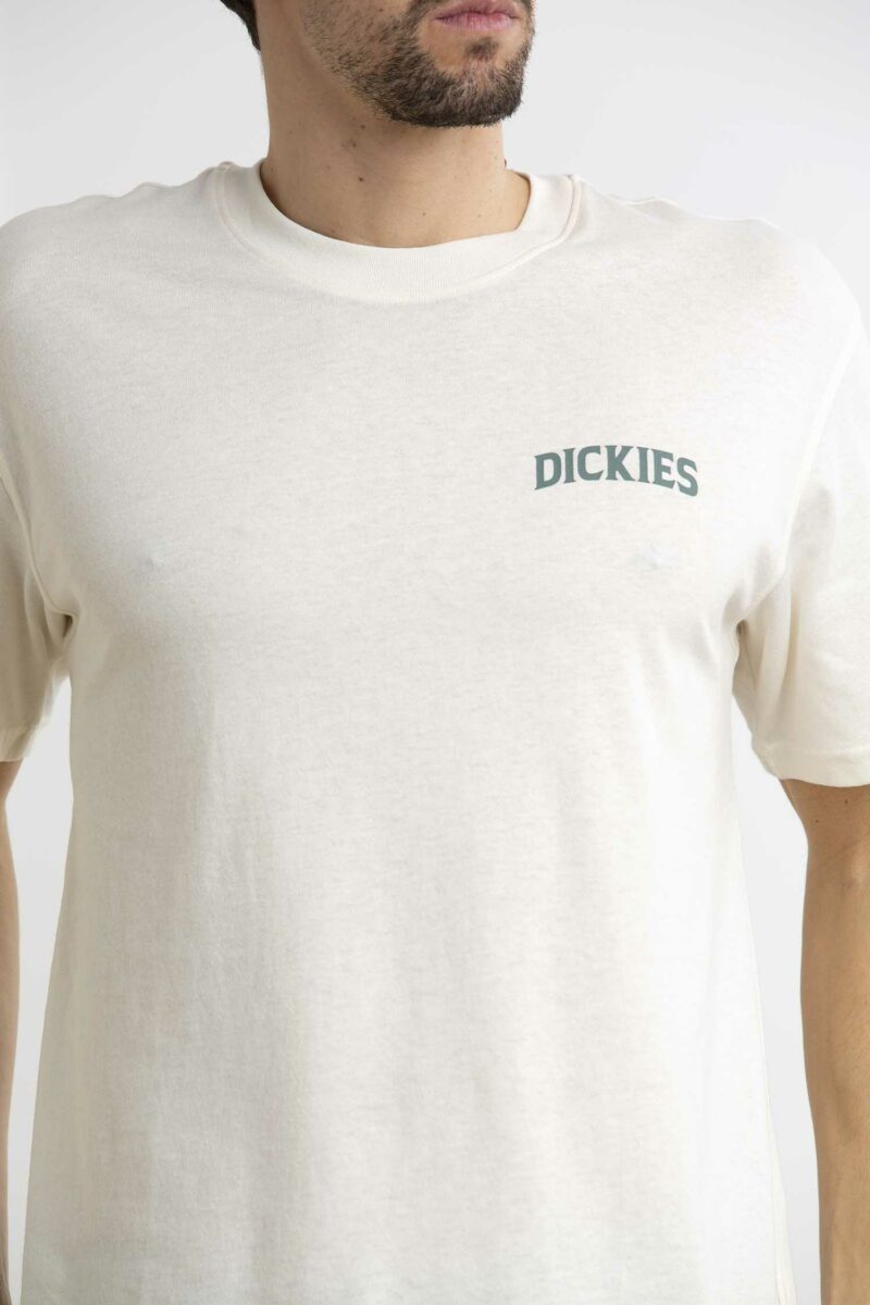DICKIES-T-SHIRT ELLISTON-DICDK0A4YRM CLOUD XL