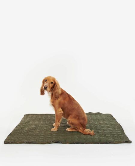 BARBOUR-COPERTA DOG BONE QUILTED-BBDAC0083 OLIVE TU