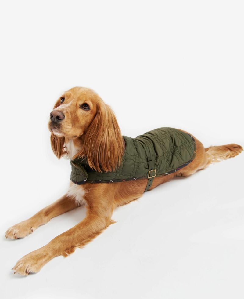 BARBOUR-CAPPOTTO DOG BONE QUILTED-BBDCO0053 OLIVE M